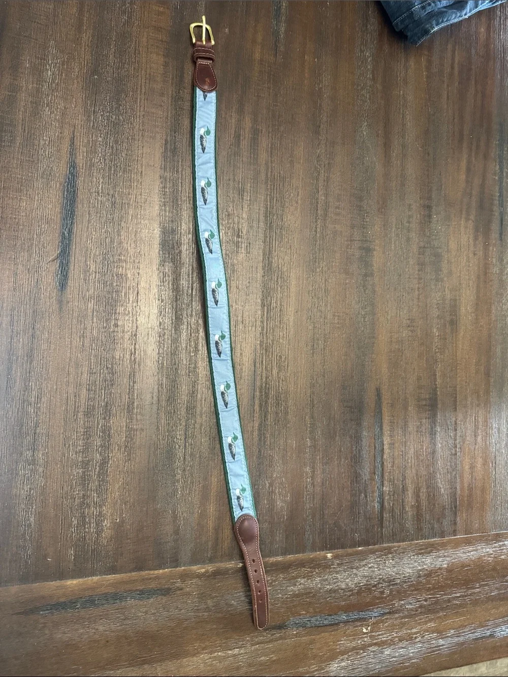 Preston & York Light Blue Kids Belt with Brown Leather Ends and Green Embroidery